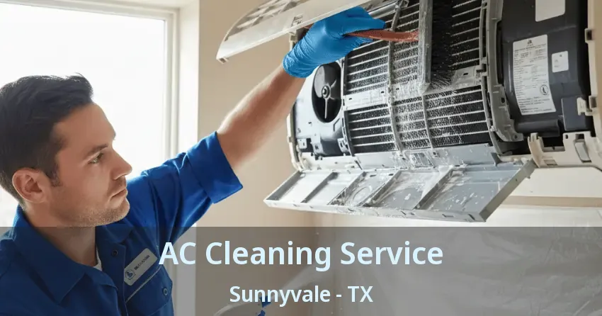 AC Cleaning Service Sunnyvale - TX