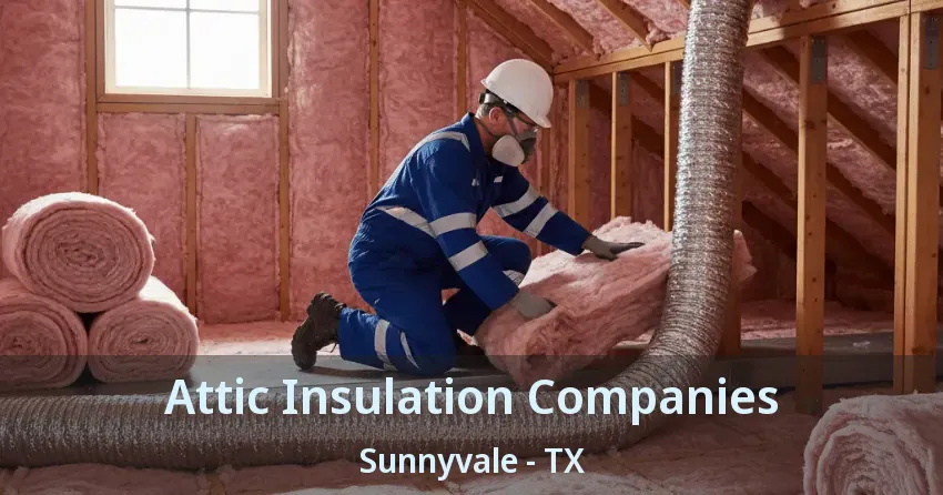 Attic Insulation Companies Sunnyvale - TX