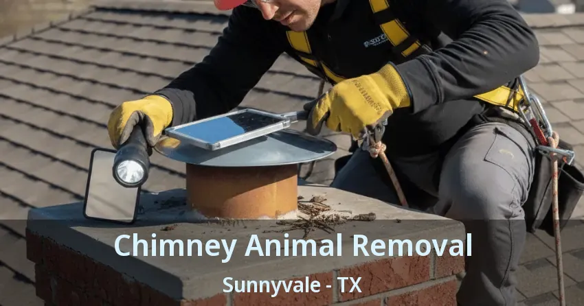 Chimney Animal Removal Sunnyvale - TX Chimney Animal Removal Sunnyvale - TX