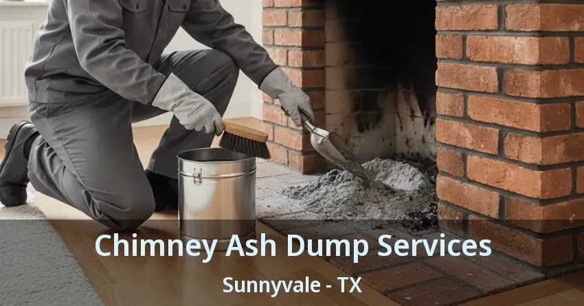 Chimney Ash Dump Services Sunnyvale - TX