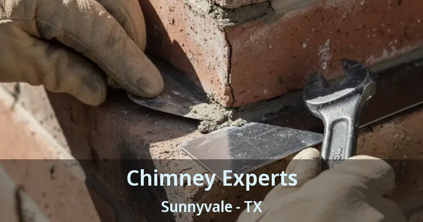 Chimney Experts Sunnyvale - TX