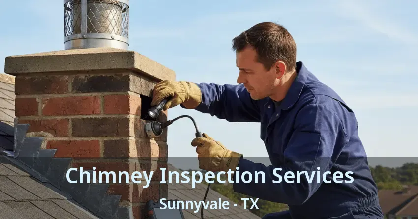 Chimney Inspection Services Sunnyvale - TX