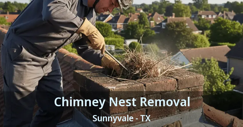 Chimney Nest Removal Sunnyvale - TX