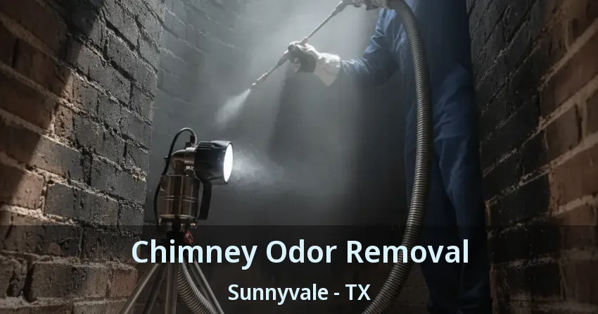 Chimney Odor Removal Sunnyvale - TX Chimney Odor Removal Sunnyvale - TX