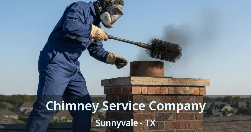 Chimney Service Company Sunnyvale - TX