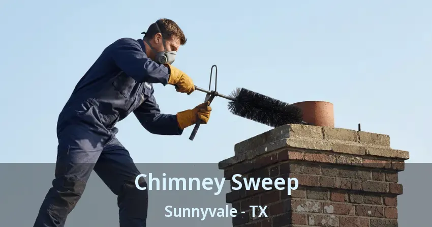 Chimney Sweep Sunnyvale - TX Chimney Sweep Sunnyvale - TX