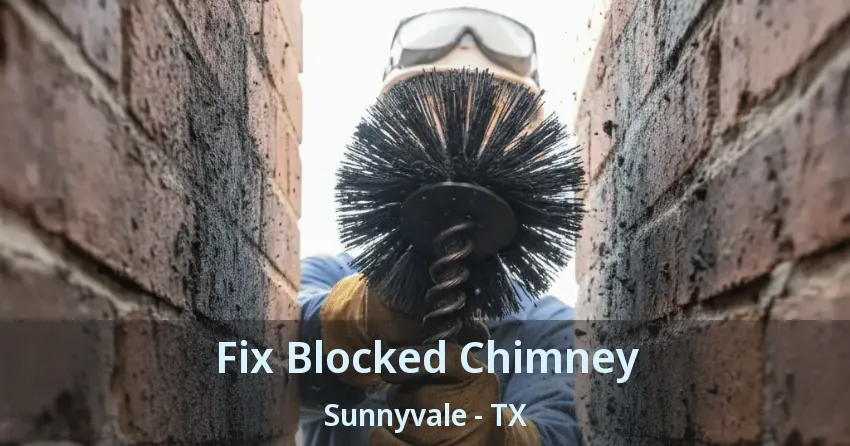 Fix Blocked Chimney Sunnyvale - TX