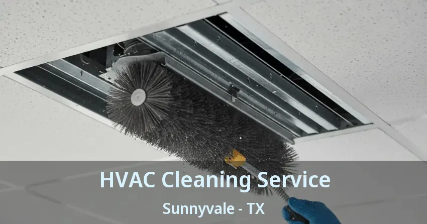 HVAC Cleaning Service Sunnyvale - TX