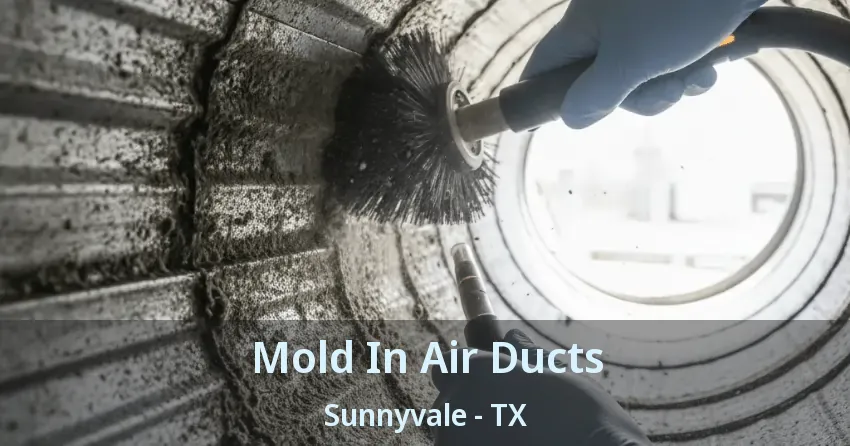 Mold In Air Ducts Sunnyvale - TX