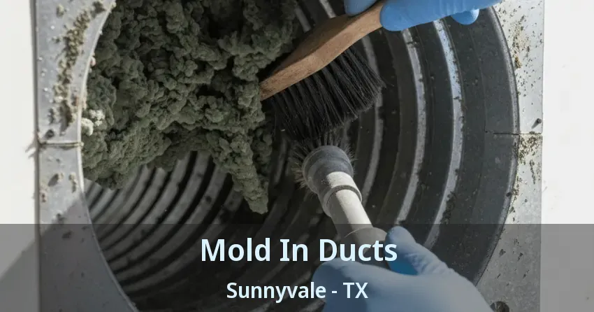 Mold In Ducts Sunnyvale - TX