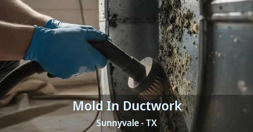 Mold In Ductwork Sunnyvale - TX