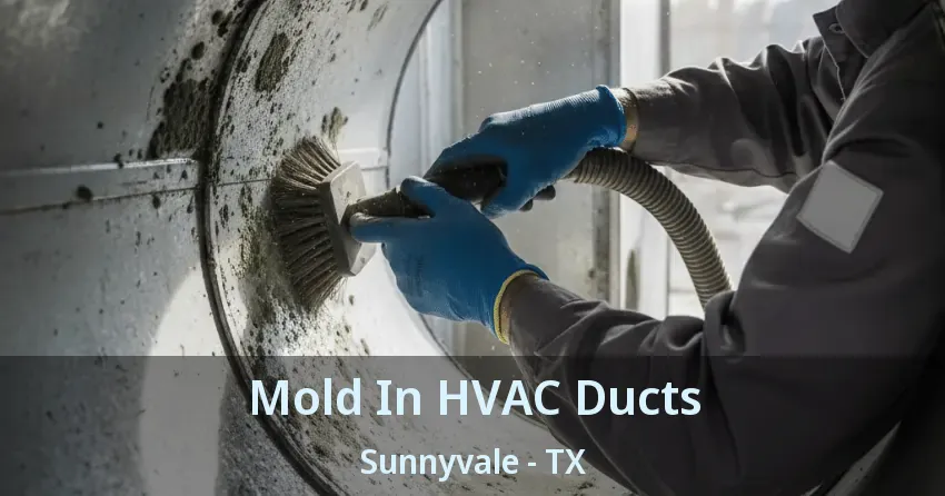 Mold In HVAC Ducts Sunnyvale - TX