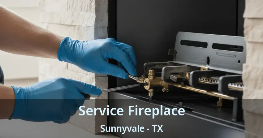 Service Fireplace Sunnyvale - TX